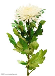 ӡȶس̨ʩϿף ǿ