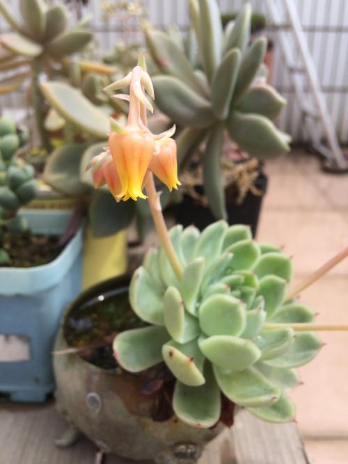 һܲƾ:ծȯͨƿɴ йڿһ